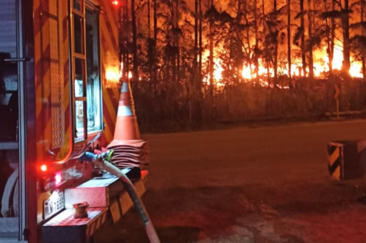 Incêndio de grandes proporções atinge empresa de pellets e mobiliza bombeiros por horas