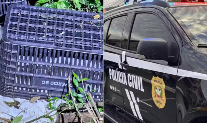 Três pessoas são presas após corpo amordaçado ser encontrado em área de mata