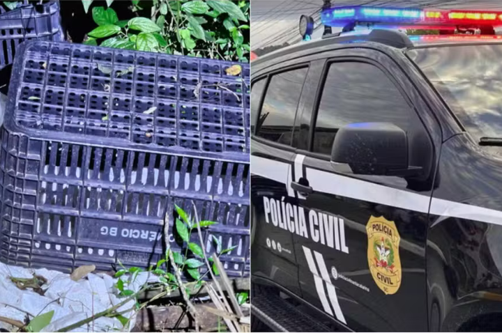 Três pessoas são presas após corpo amordaçado ser encontrado em área de mata