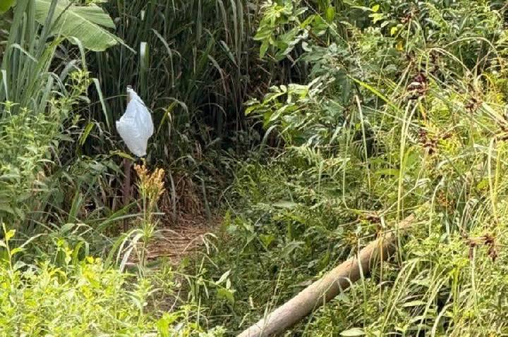 Trilha termina em tragédia: pai e filha morrem após contato com fio elétrico