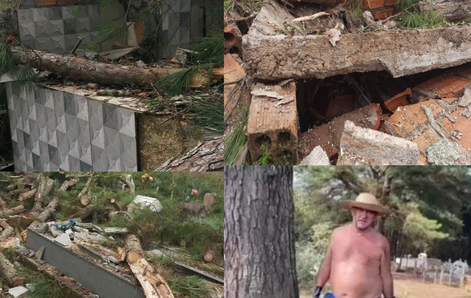 Prefeito derruba árvores e quebra vários túmulos, e causa destruição em cemitério.