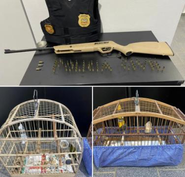 Homem é  preso em Ibirama após ameaçar pessoas pela Internet.