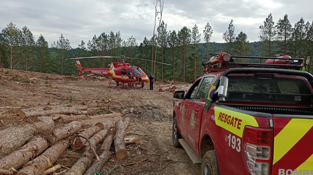 Trabalhador morre após árvore cair sobre ele em Ibirama.