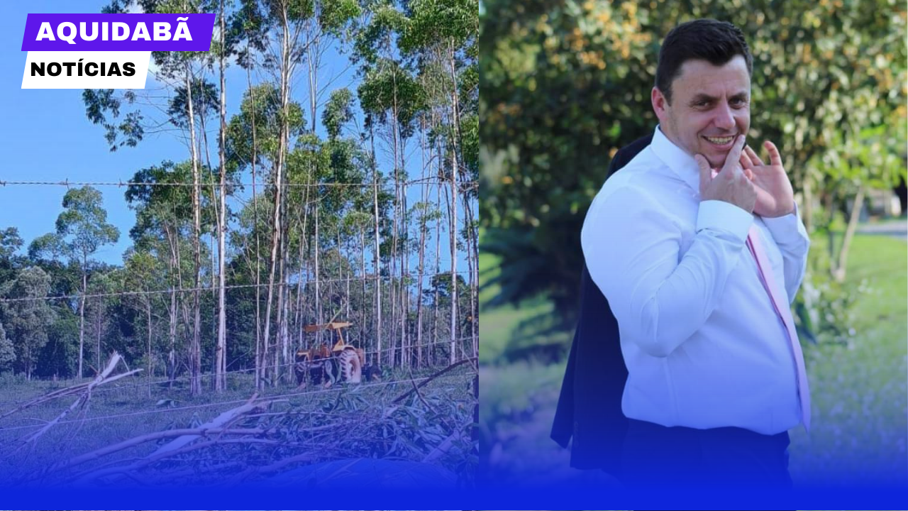 Identificado o homem que morreu após queda de árvore em Presidente Getúlio
