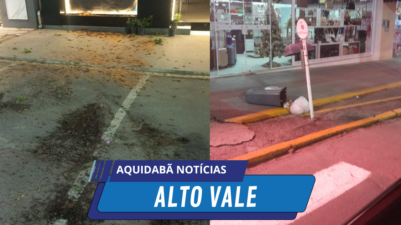 Mulher é presa em flagrante por vandalismo contra patrimônio público e privado em Rio do Sul