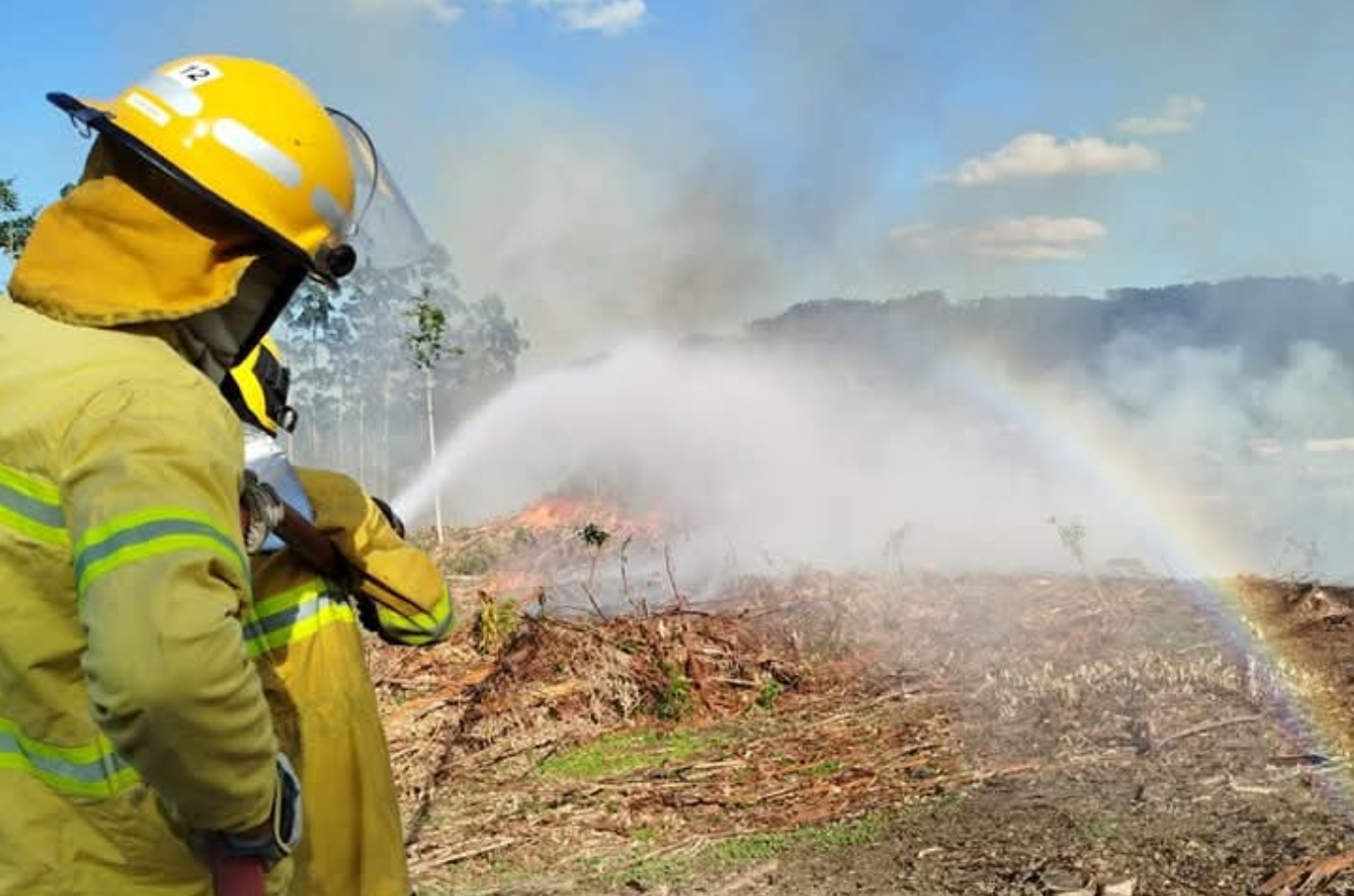 Bombeiros combatem a incêndio de grandes proporções em Vitor Meireles