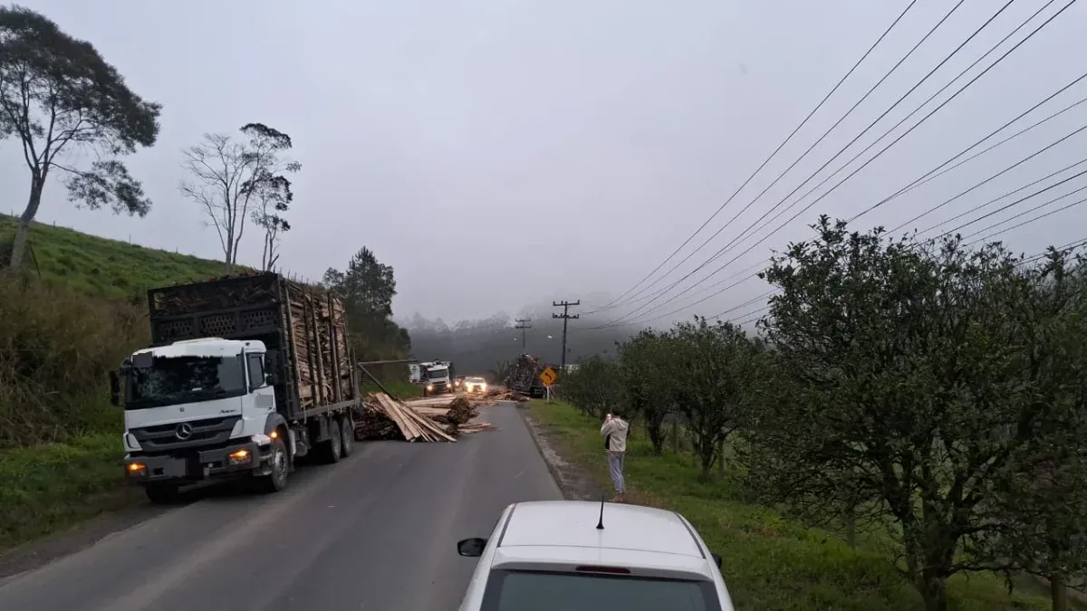 Caminhão perde carga de madeira e complica trânsito na SC-340 em Witmarsum