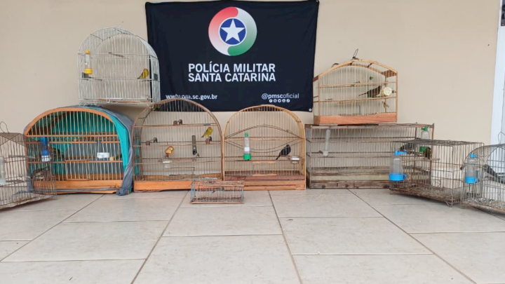 Polícia Militar Ambiental resgata aves silvestres mantidas em cativeiro