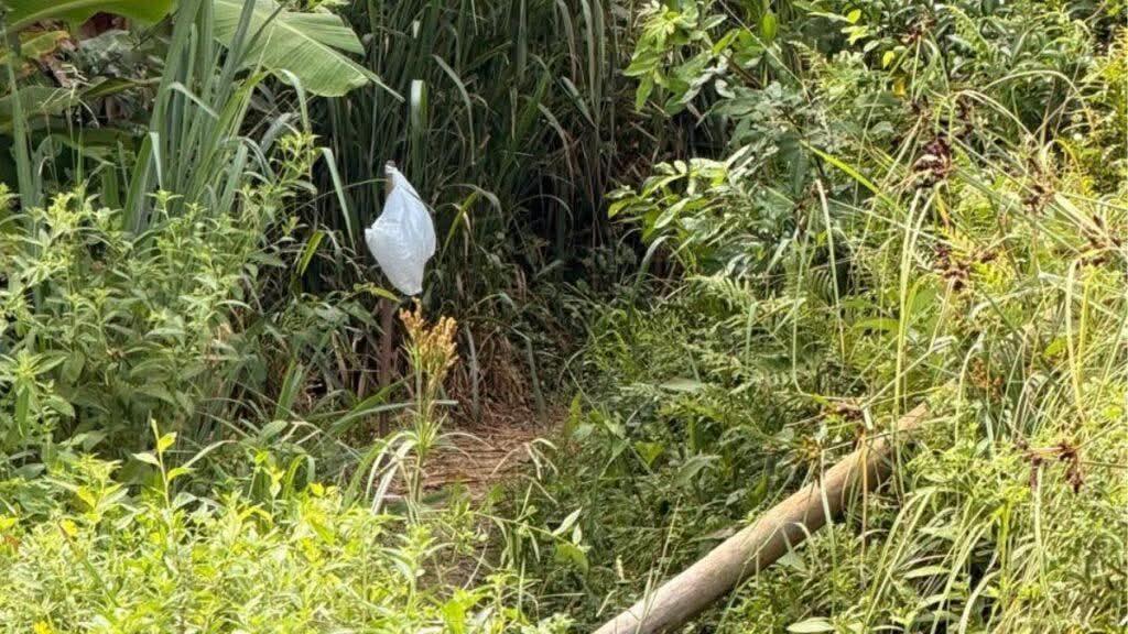 Trilha termina em tragédia: pai e filha morrem após contato com fio elétrico
